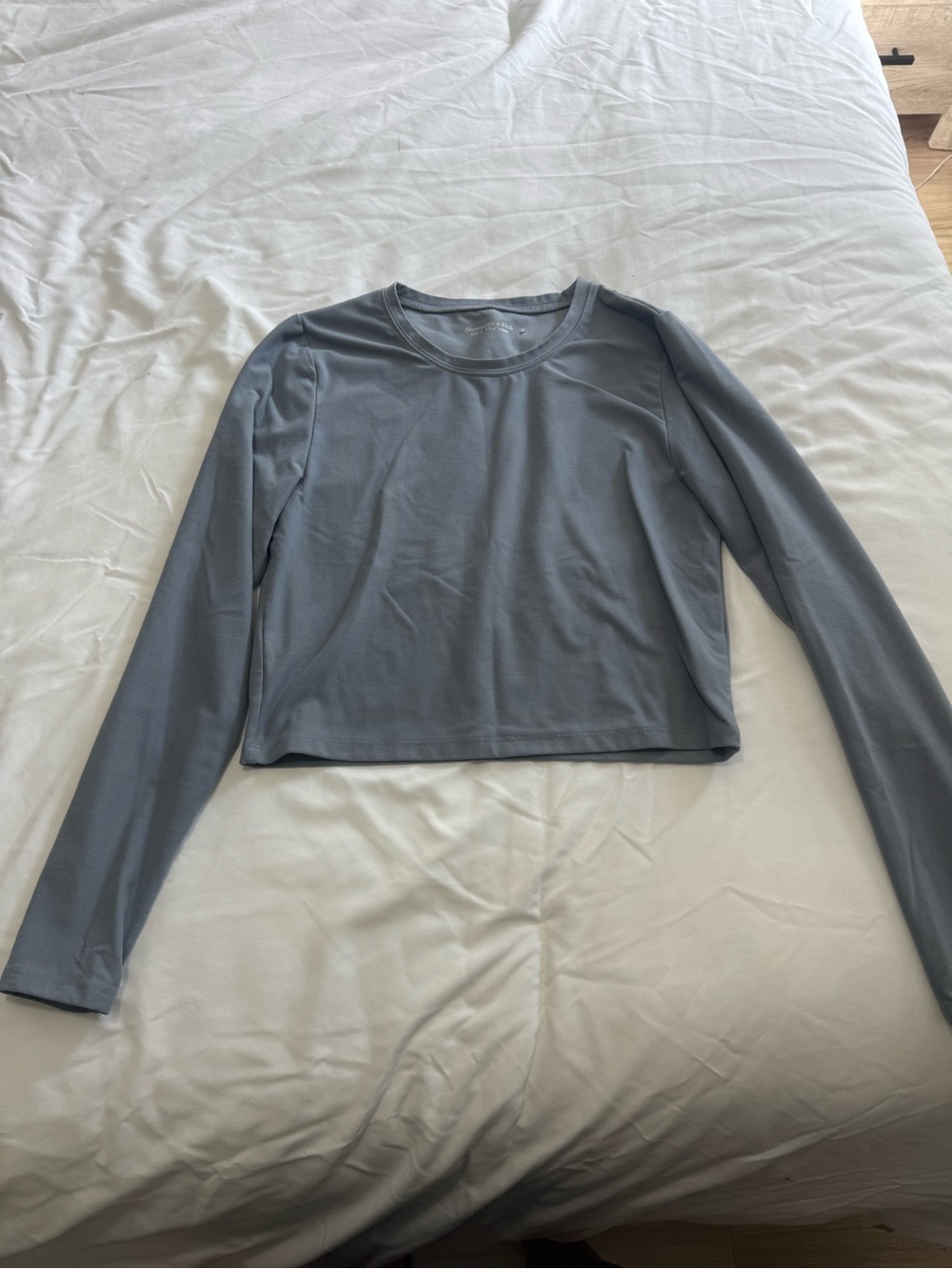 Abercrombie & Fitch Light Gray Long Sleeve Cropped Tee